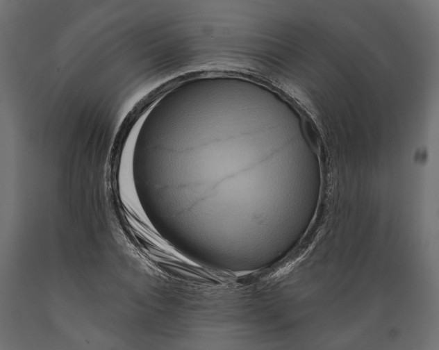 X0000088890928200707061429