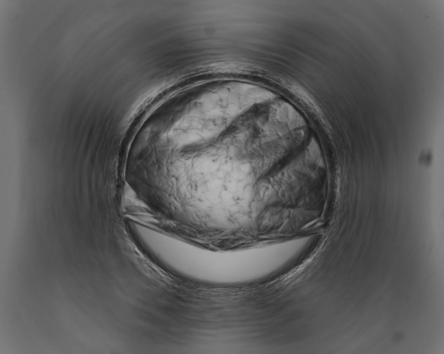 X0000088890930200707061429