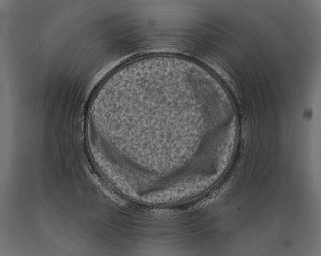 X0000088890933200707061429