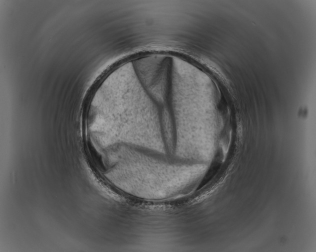 X0000088890934200707061429