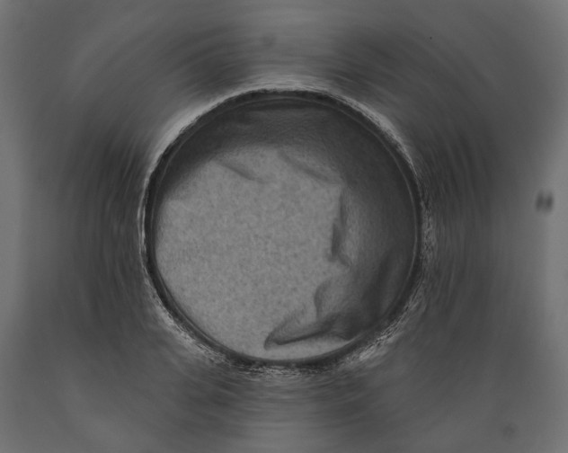 X0000088890935200707061429