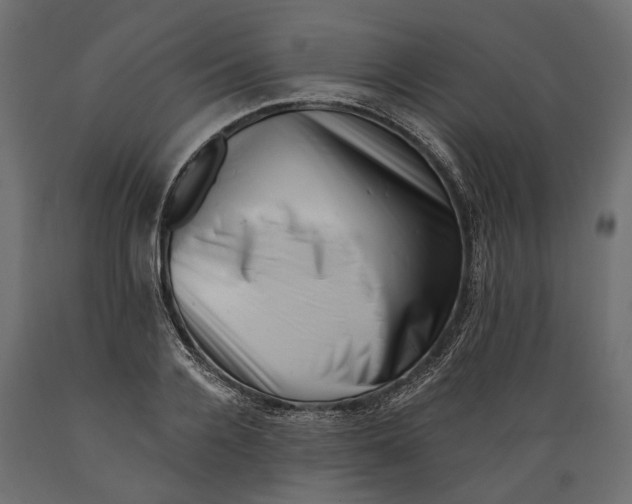 X0000088890936200707061429