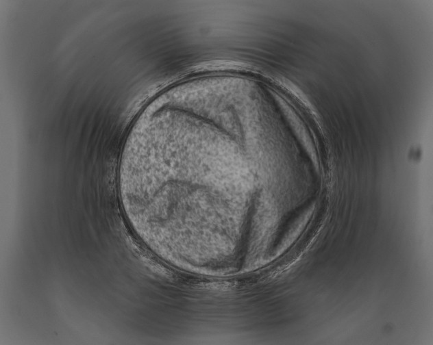 X0000088890937200707061429