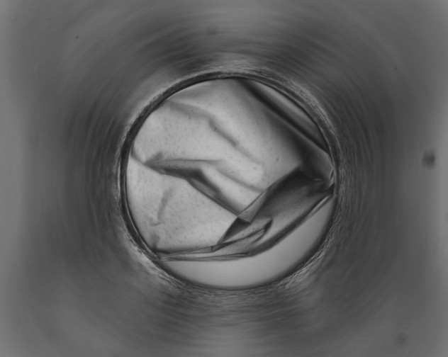 X0000088890939200707061429
