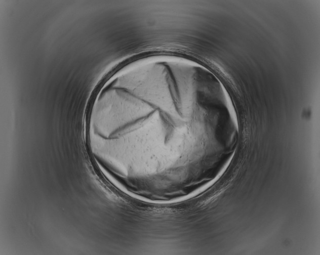 X0000088890940200707061429