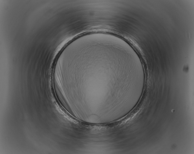 X0000088890941200707061429
