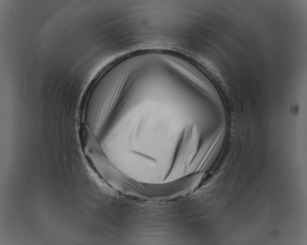 X0000088890942200707061429