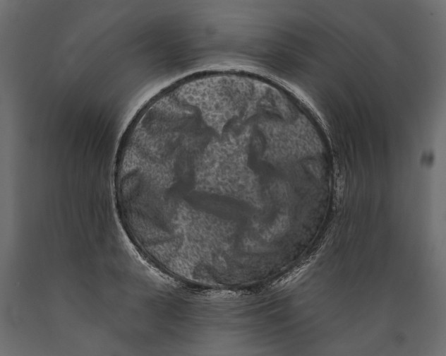 X0000088890943200707061429