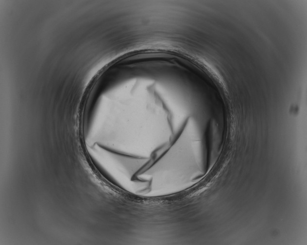 X0000088890944200707061429