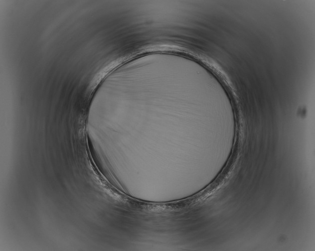 X0000088890945200707061429