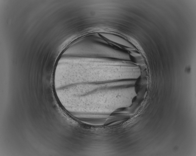 X0000088890946200707061429