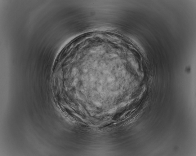X0000088890948200707061429