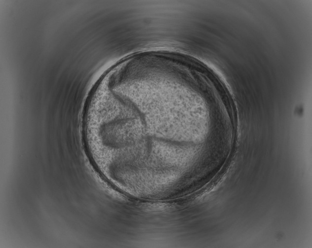 X0000088890949200707061429