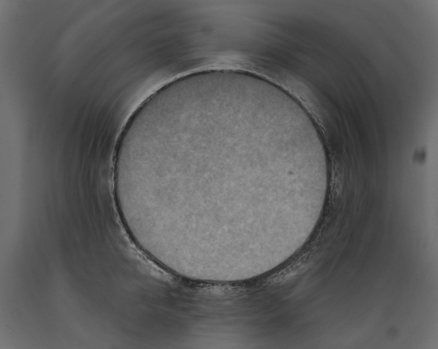 X0000088890950200707061429
