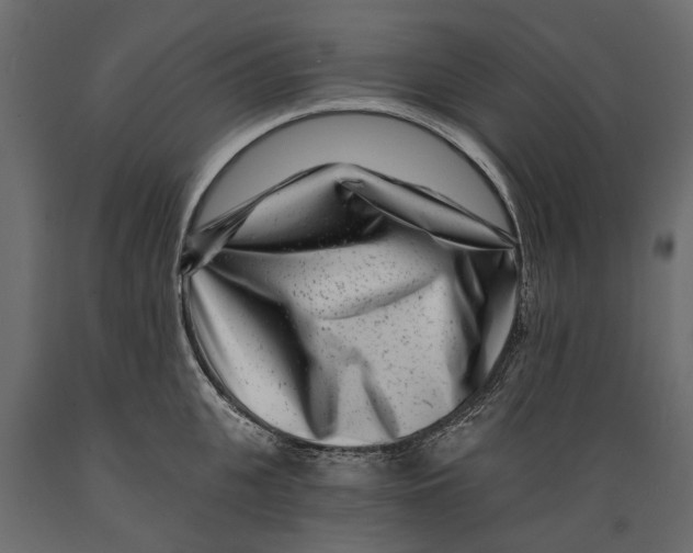 X0000088890951200707061429