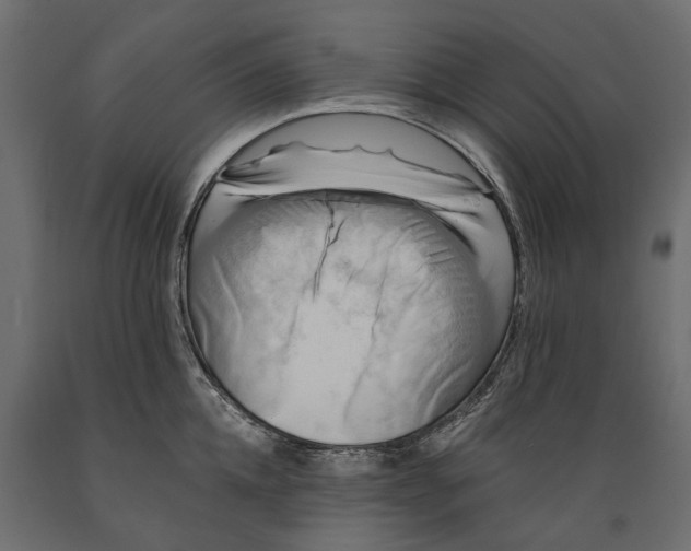 X0000088890952200707061429