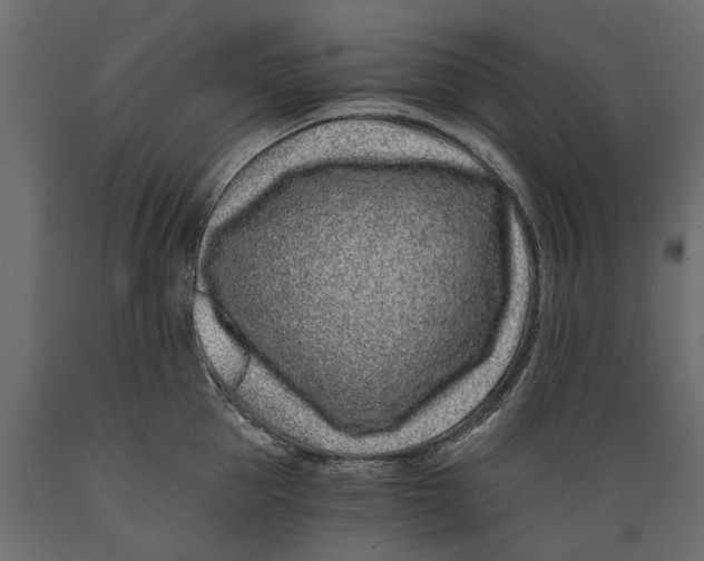 X0000088890953200707061429