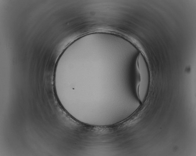 X0000088890954200707061429