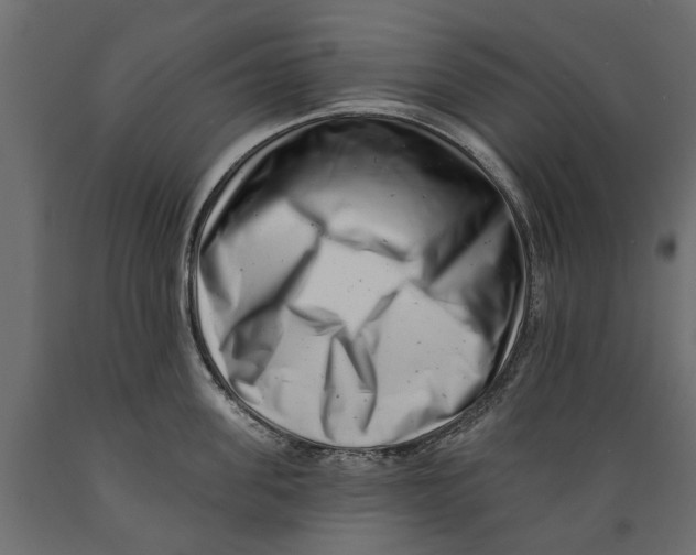 X0000088890955200707061429