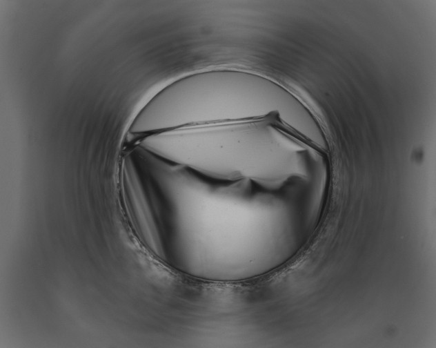 X0000088890956200707061429
