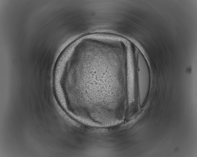 X0000088890957200707061429