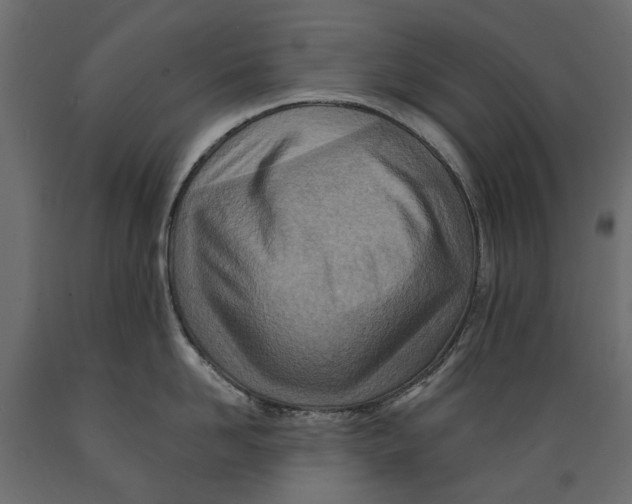 X0000088890958200707061429