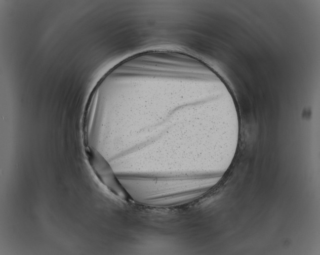 X0000088890959200707061429