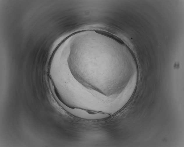 X0000088890960200707061429