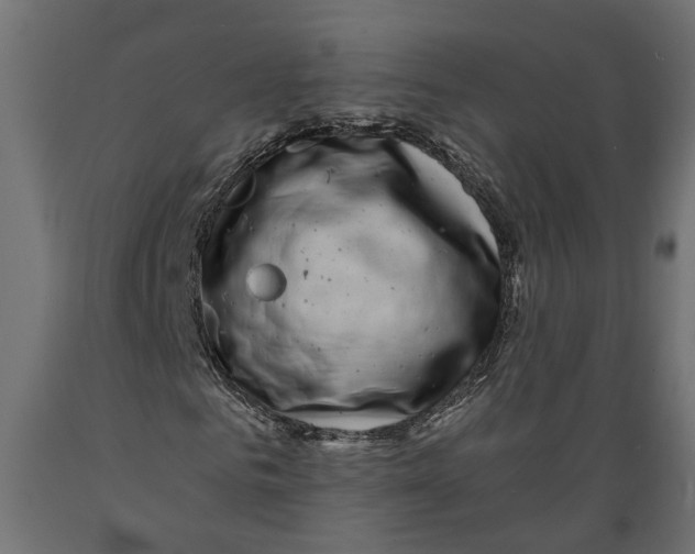 X0000088890961200707061428