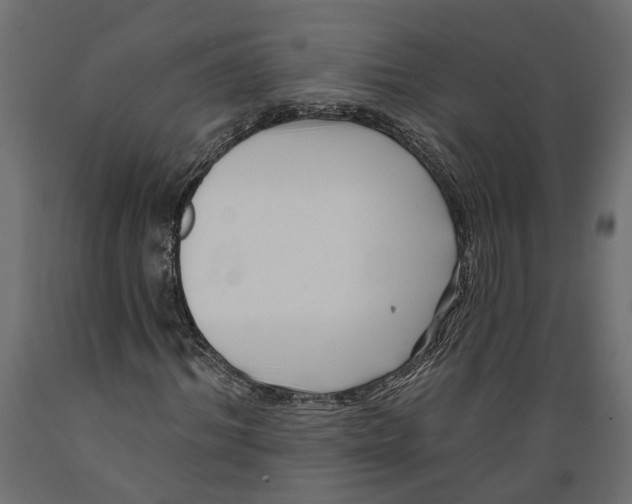 X0000088890964200707061428