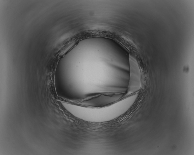 X0000088890965200707061428