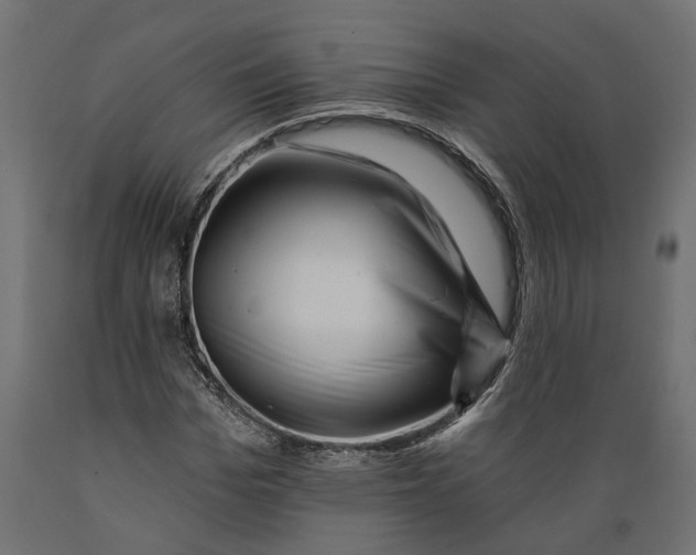 X0000088890969200707061428