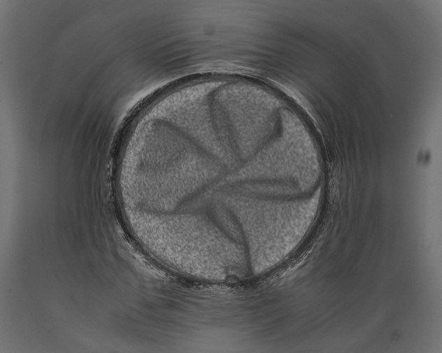 X0000088890971200707061428