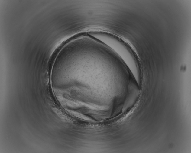 X0000088890973200707061428
