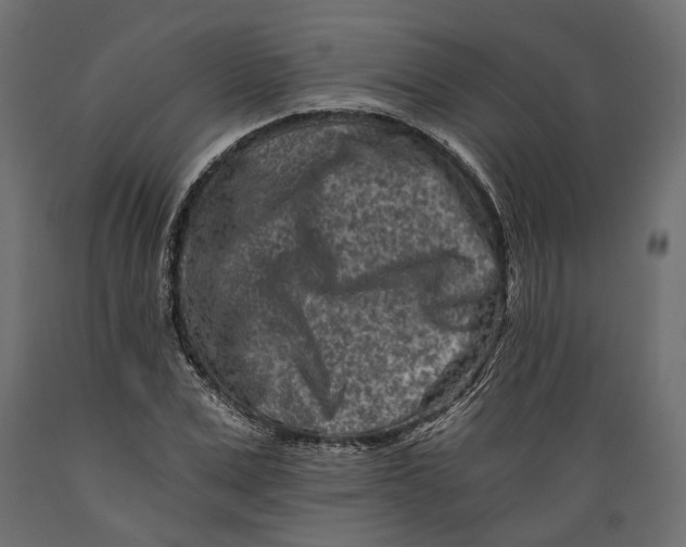 X0000088890975200707061428