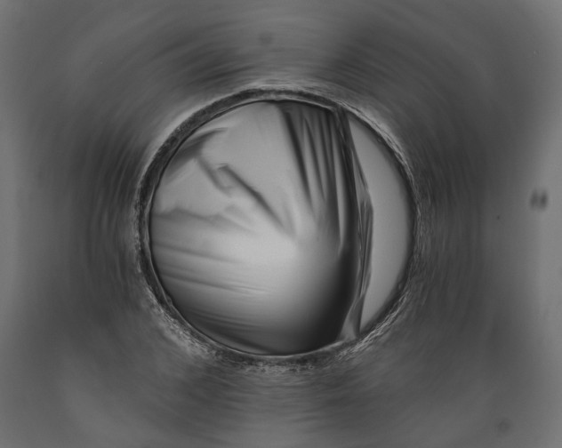 X0000088890976200707061428