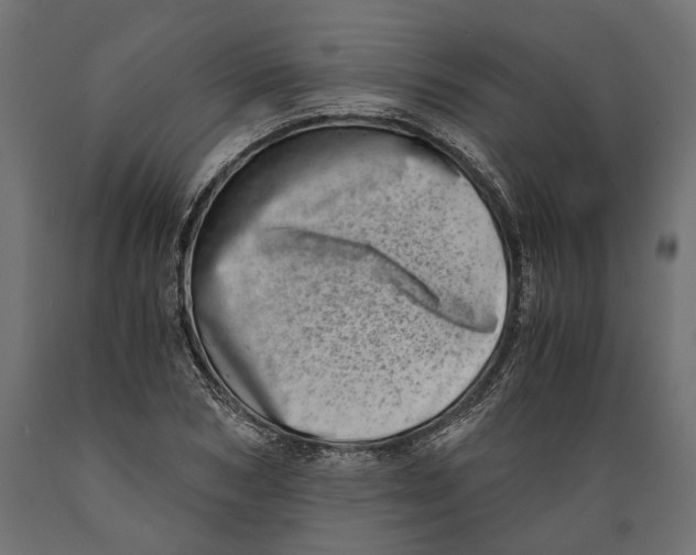 X0000088890978200707061428