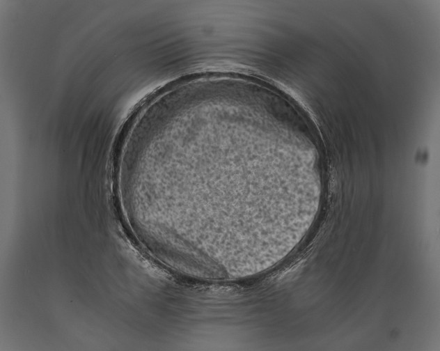X0000088890979200707061428
