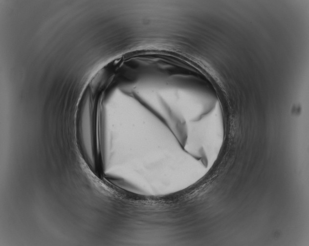 X0000088890980200707061428