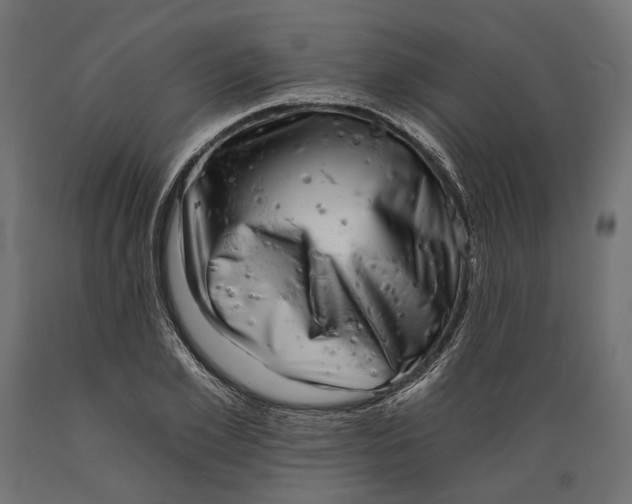 X0000088890981200707061428