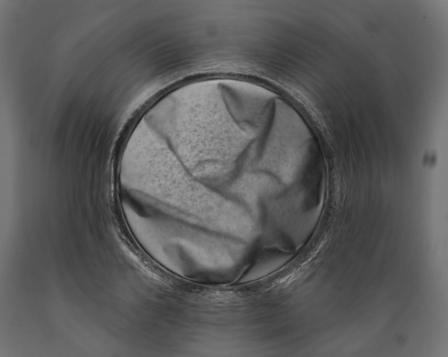 X0000088890982200707061428