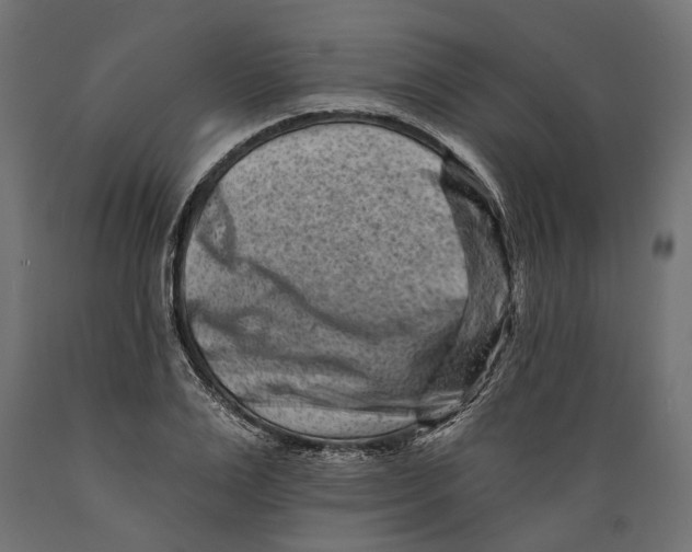 X0000088890983200707061428