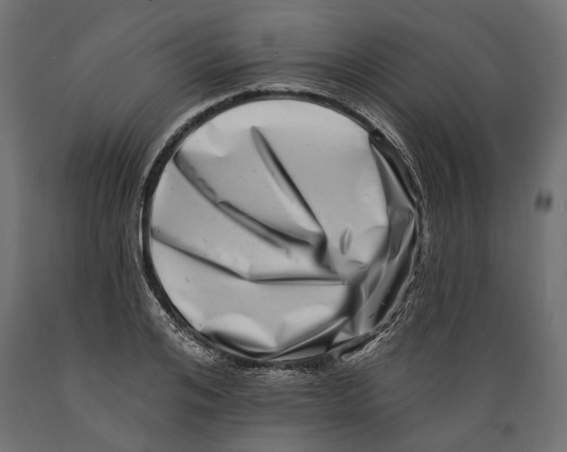 X0000088890984200707061428