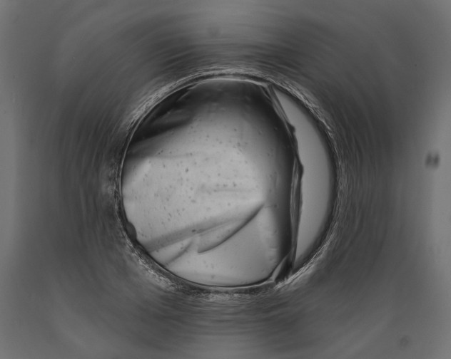 X0000088890985200707061428