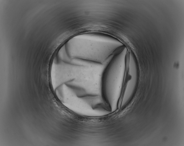 X0000088890986200707061428