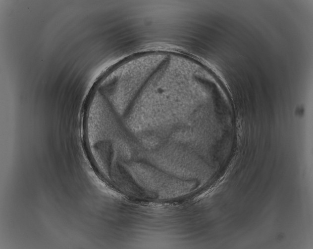 X0000088890987200707061428
