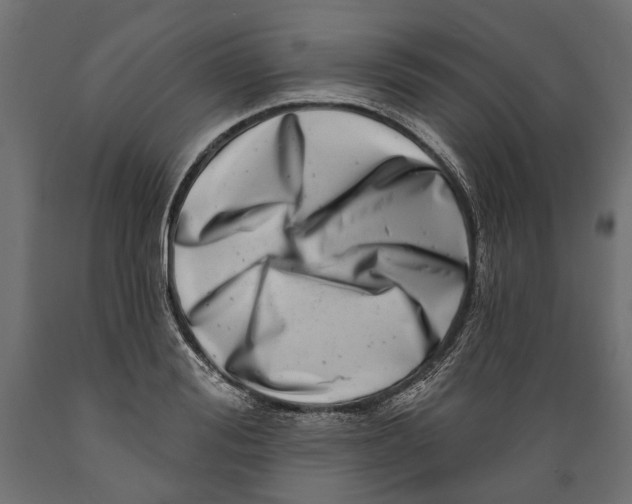 X0000088890988200707061428