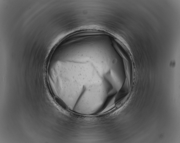 X0000088890989200707061428