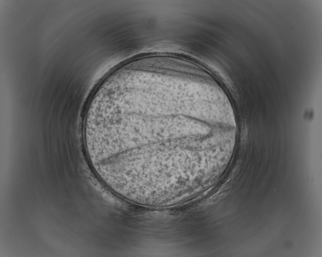 X0000088890990200707061428