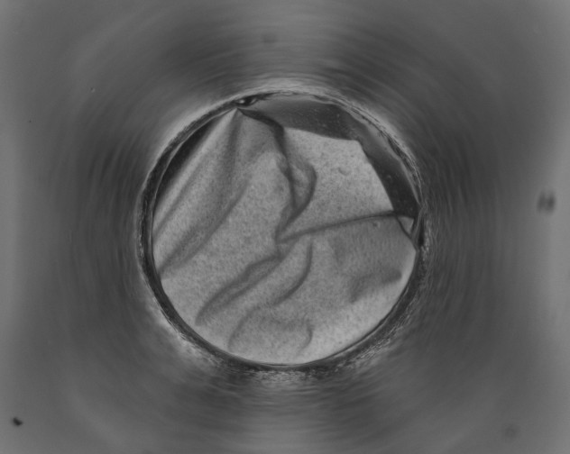 X0000088890991200707061428